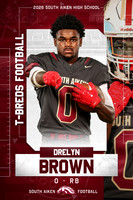 0 Drelyn Brown RBv2