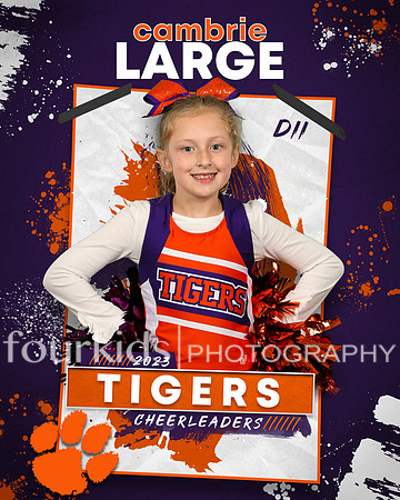 d2 Cambrie Large A