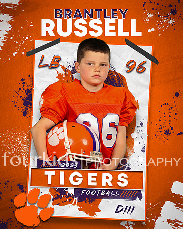 d3 Brantley Russell A