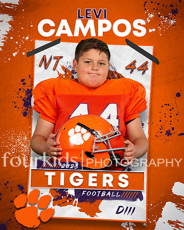 d3 Levi Campos Acp