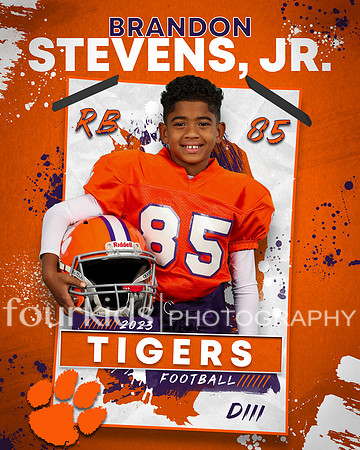 d3 Brandon Stevens Jr A cp sib