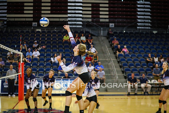 USCA_Voll_v_Francis_Marion_9-22-18_0259